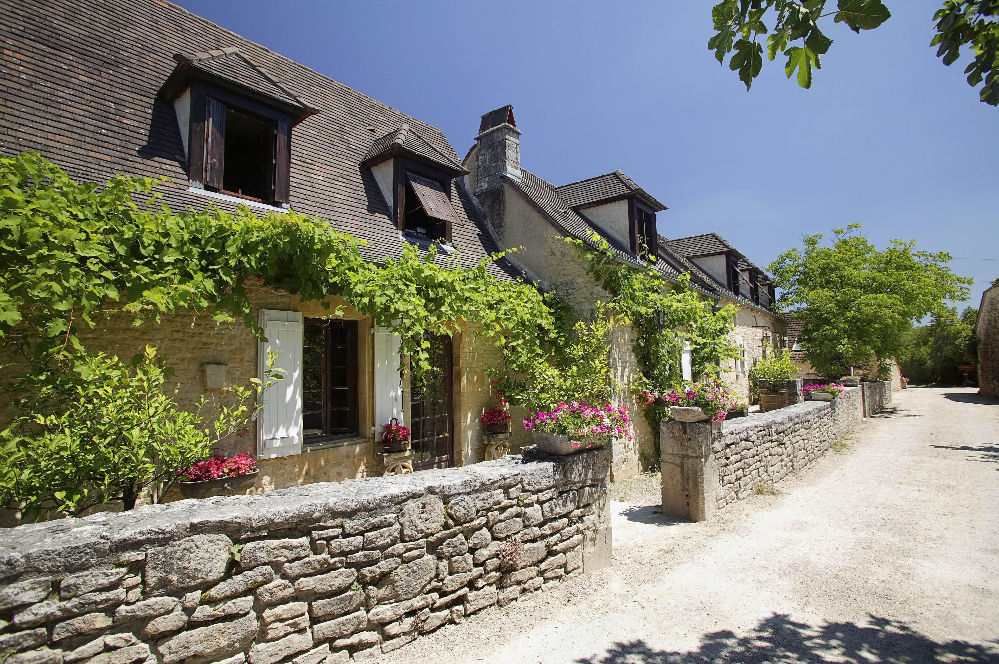 A scenery from Domaine de La Paille Basse