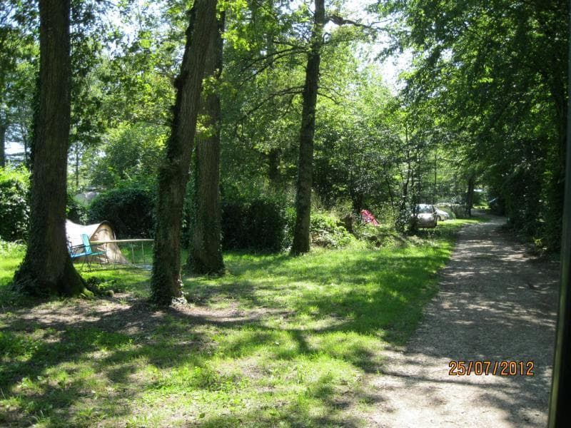 A scenery from Flower Camping La Forêt