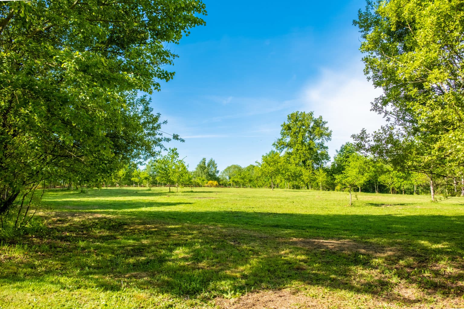A scenery from Camping de la Bucherie