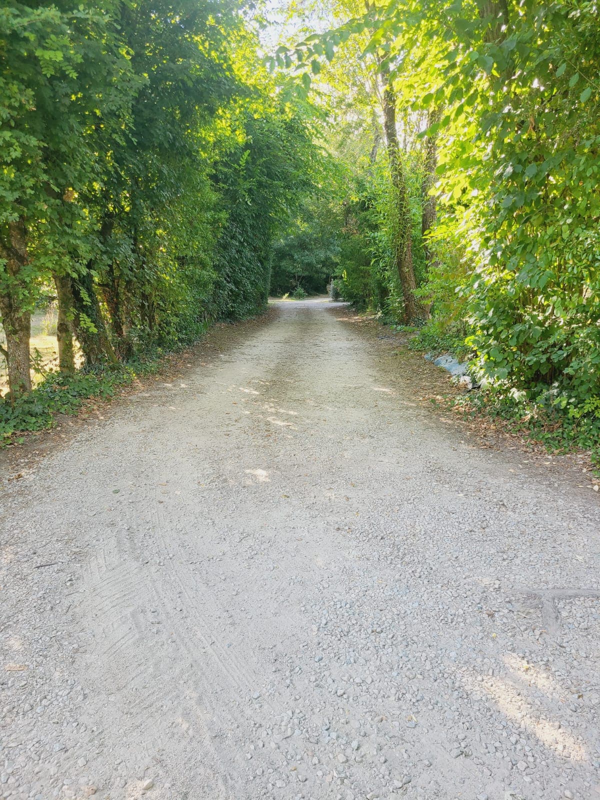 A scenery from Camping Le Trèfle à 4 Feuilles