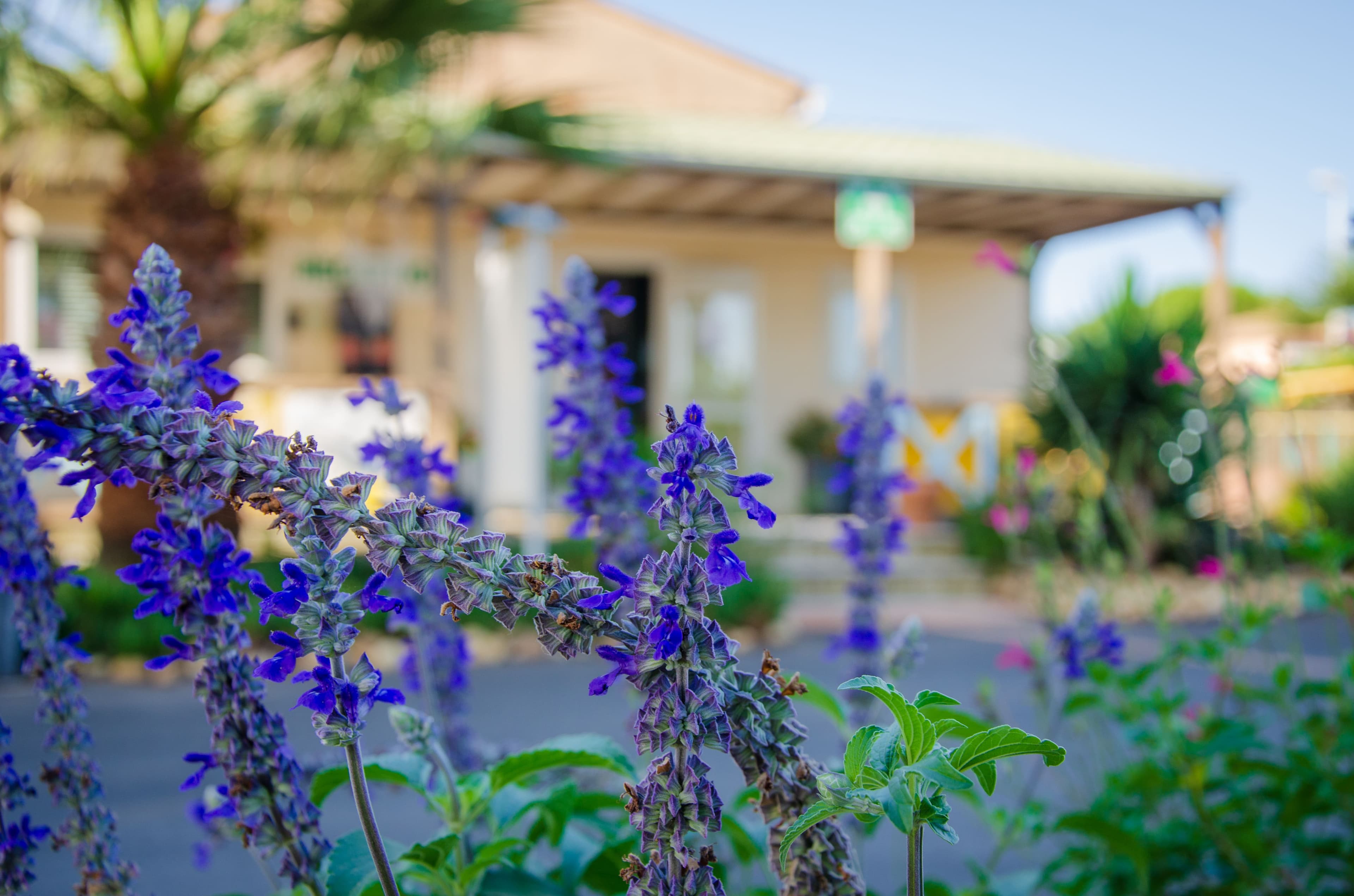 A scenery from Camping Les Jardins d'Agathe Maeva Escapades