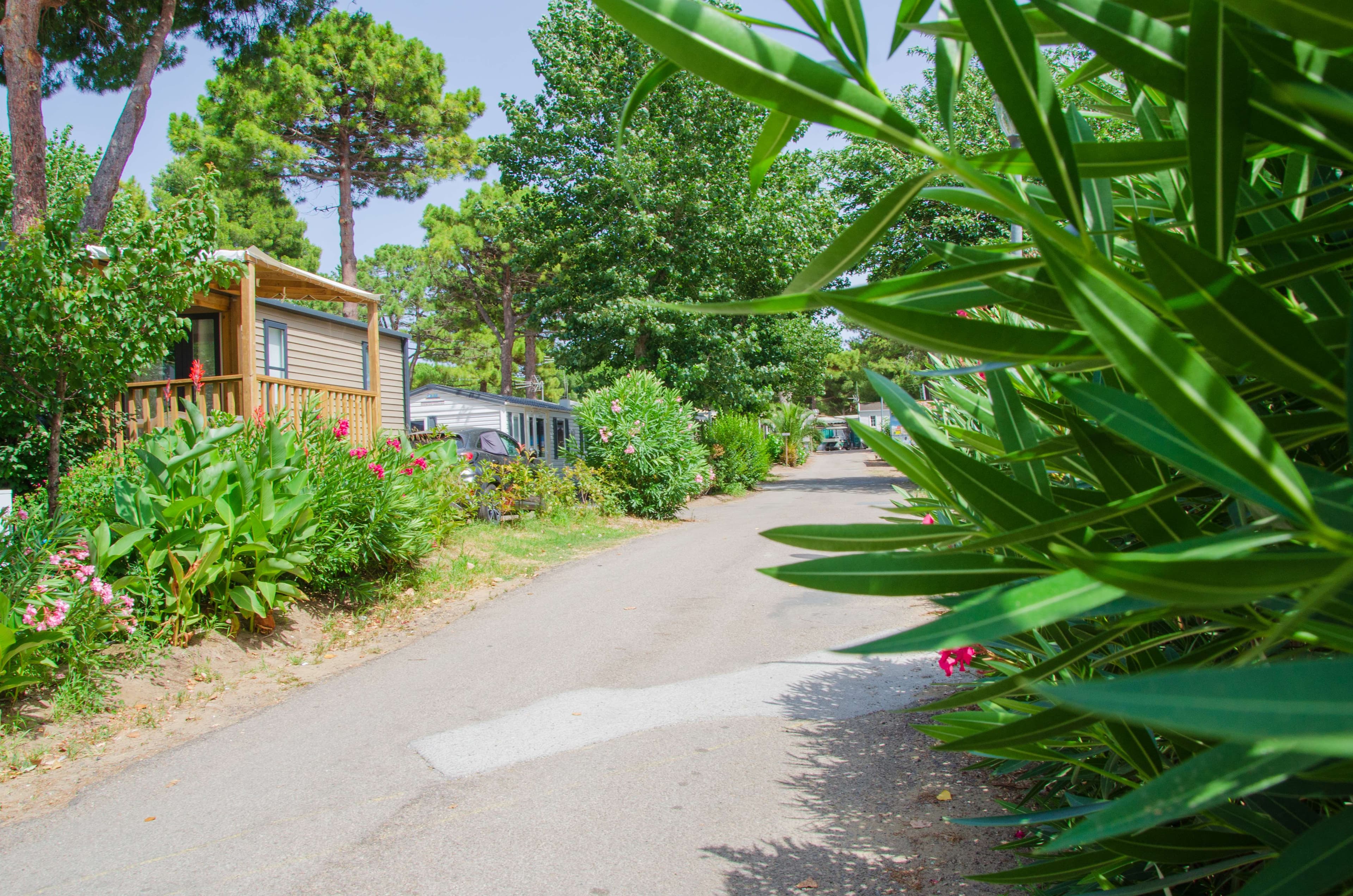 A scenery from Camping Les Jardins d'Agathe Maeva Escapades