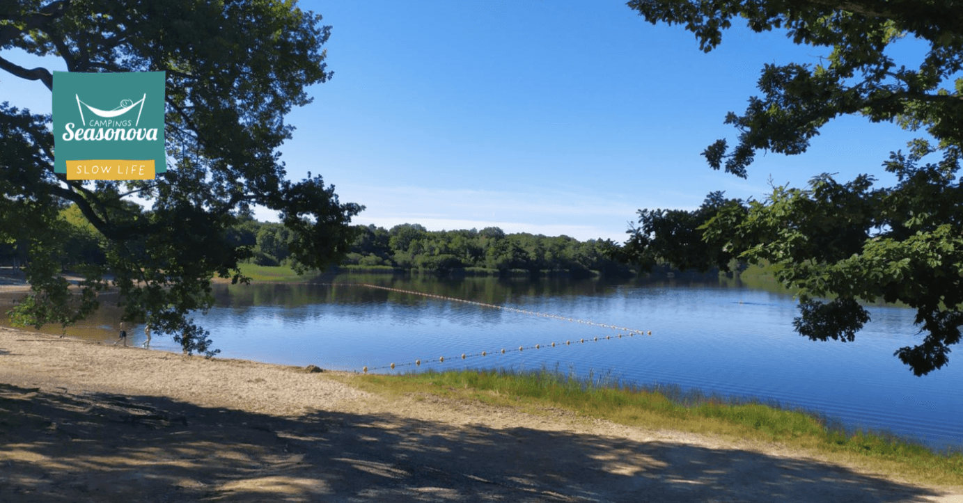 A scenery from Camping Seasonova L'Etang des Bois