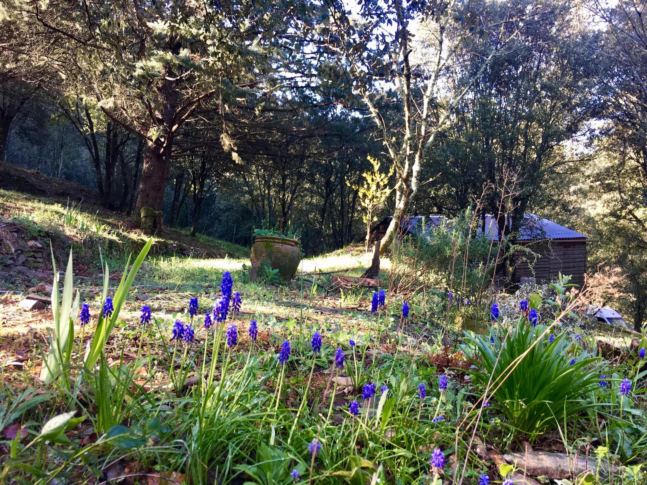 A scenery from Camping La Corconne