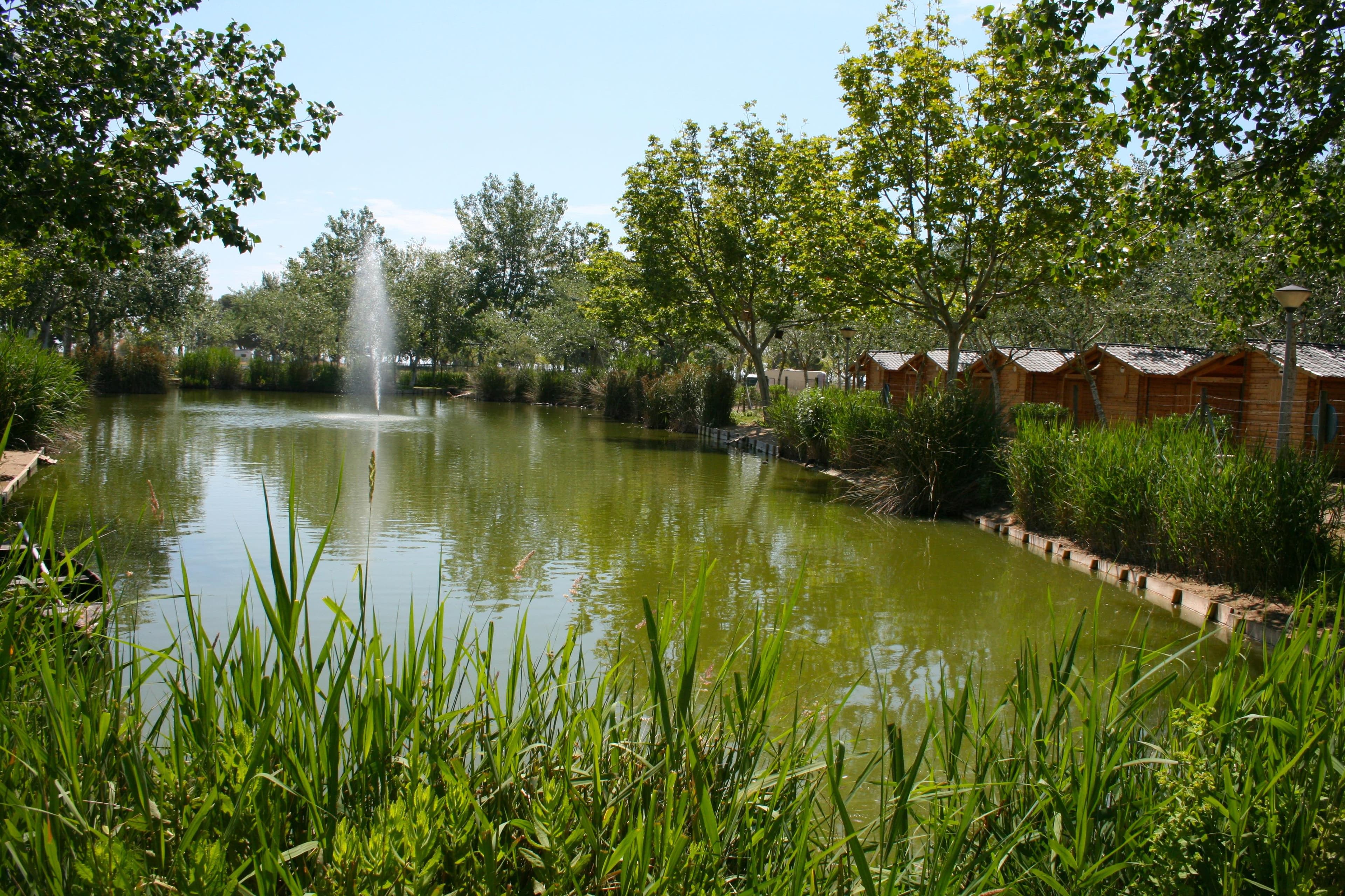 A scenery from Camping Eucaliptus