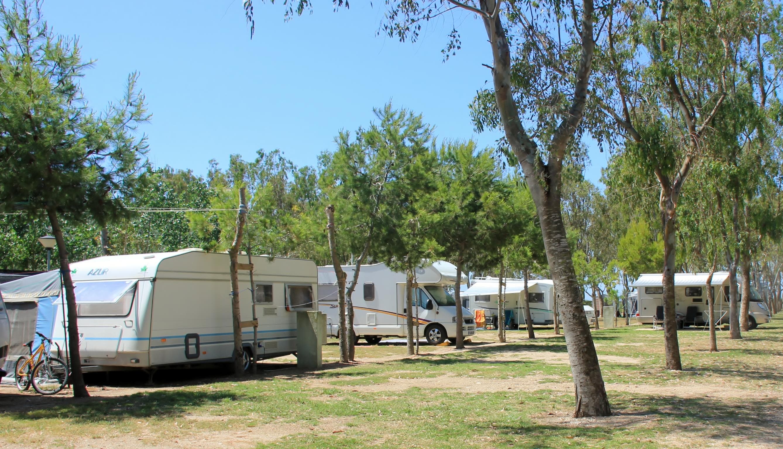 A scenery from Camping Eucaliptus