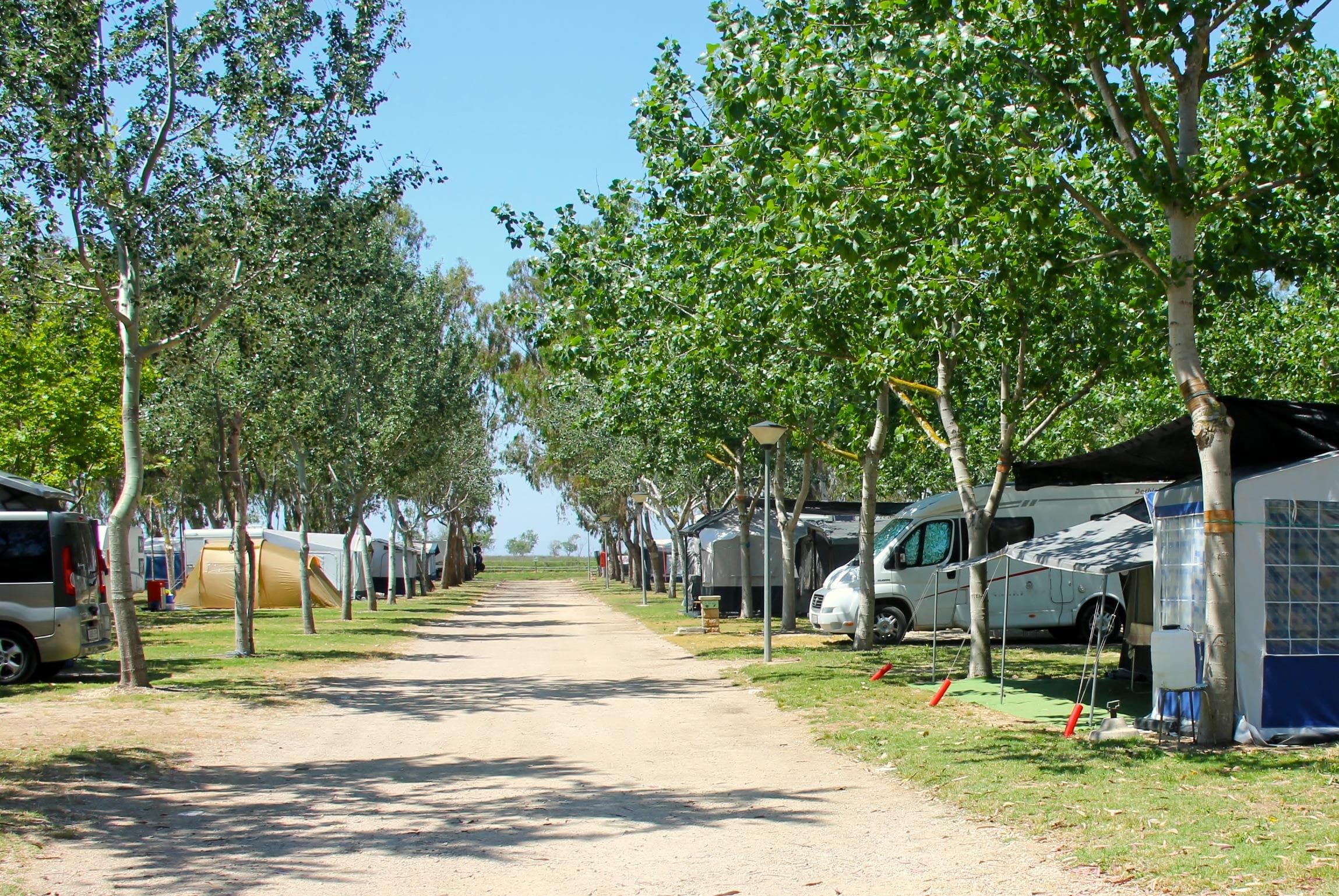 A scenery from Camping Eucaliptus