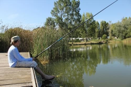 A scenery from Camping DOMAINE D'INLY