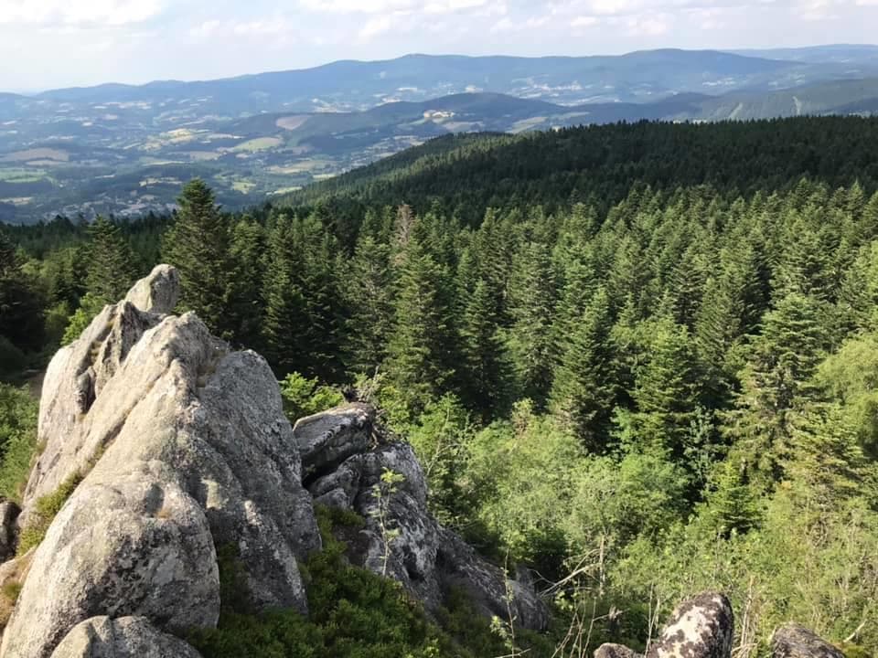 A scenery from Camping Le Montbartoux