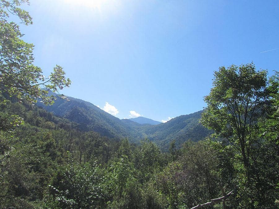 A scenery from Domaine Saint Martin