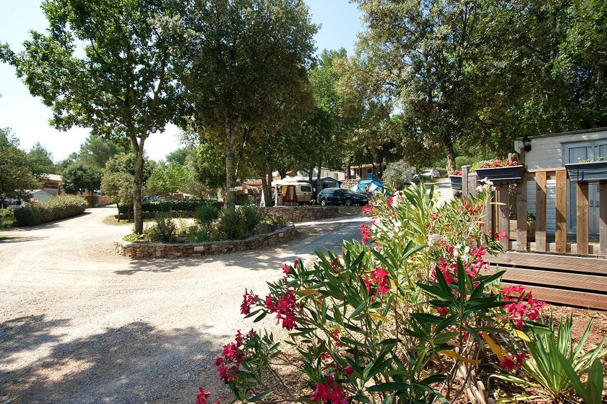 A scenery from Domaine de la Cigalière