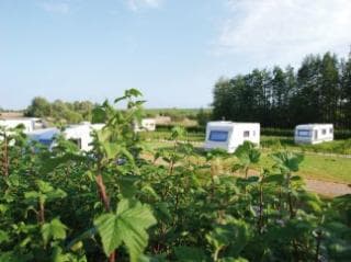 A scenery from Camping de la Mottelette