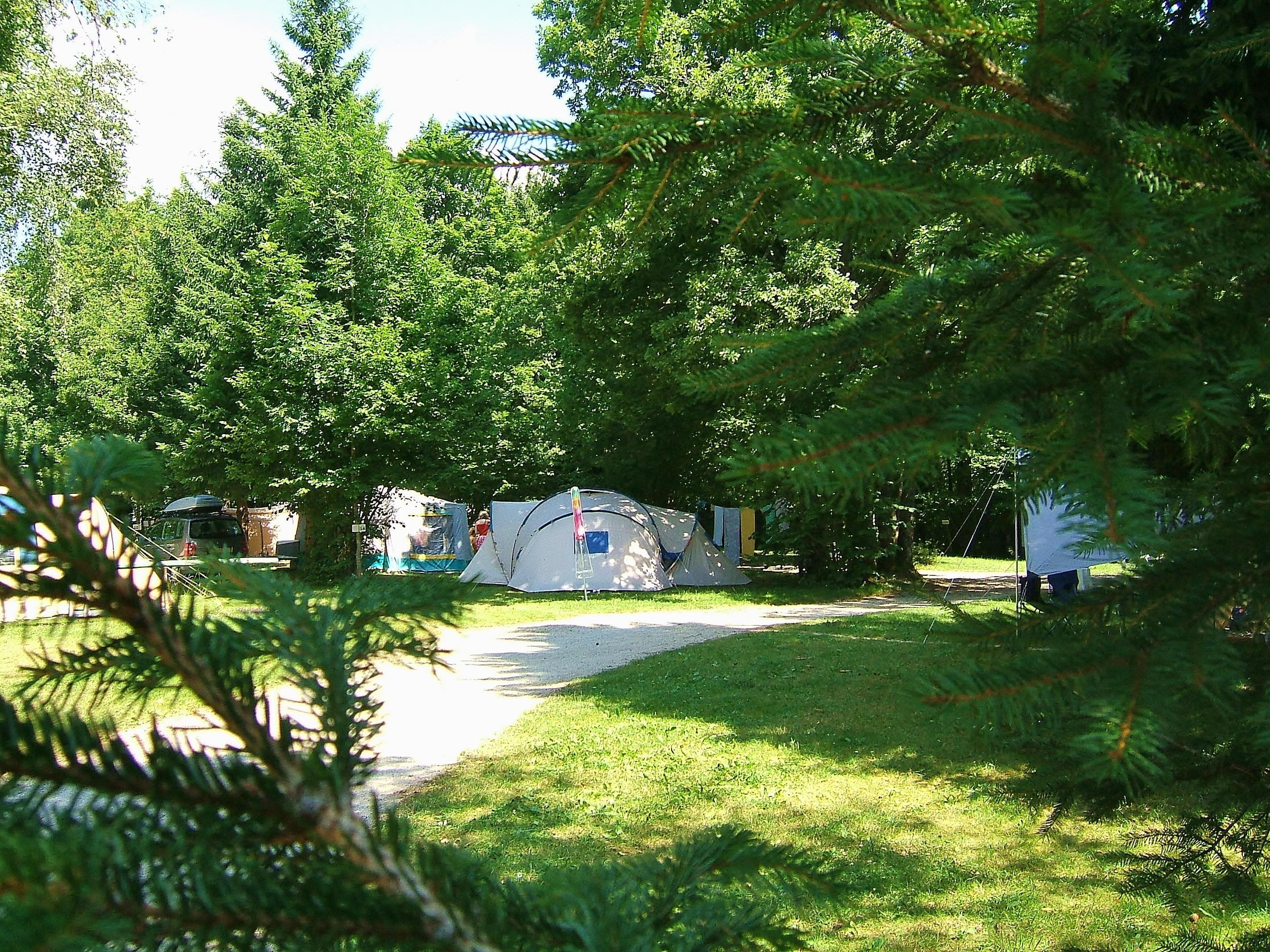 A scenery from Camping de la Forêt