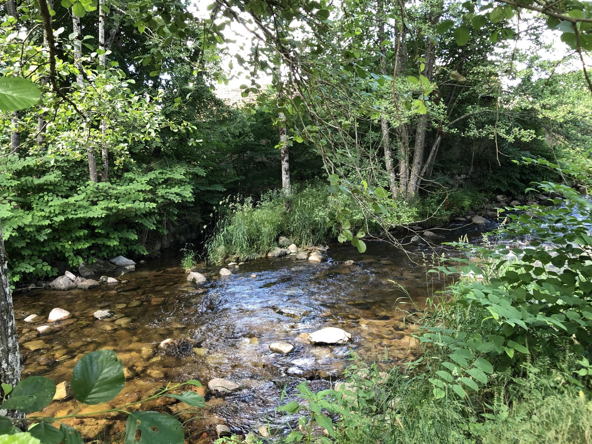 A scenery from Camping Pré Vologne