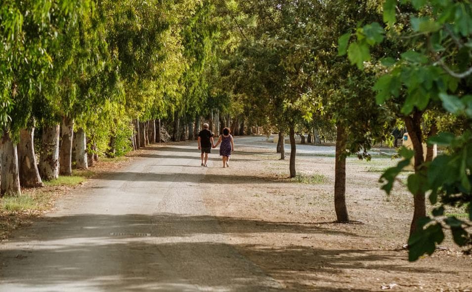 A scenery from Camping La Masseria