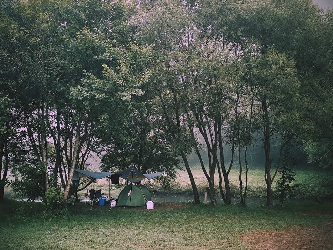 A scenery from Camping Berkel