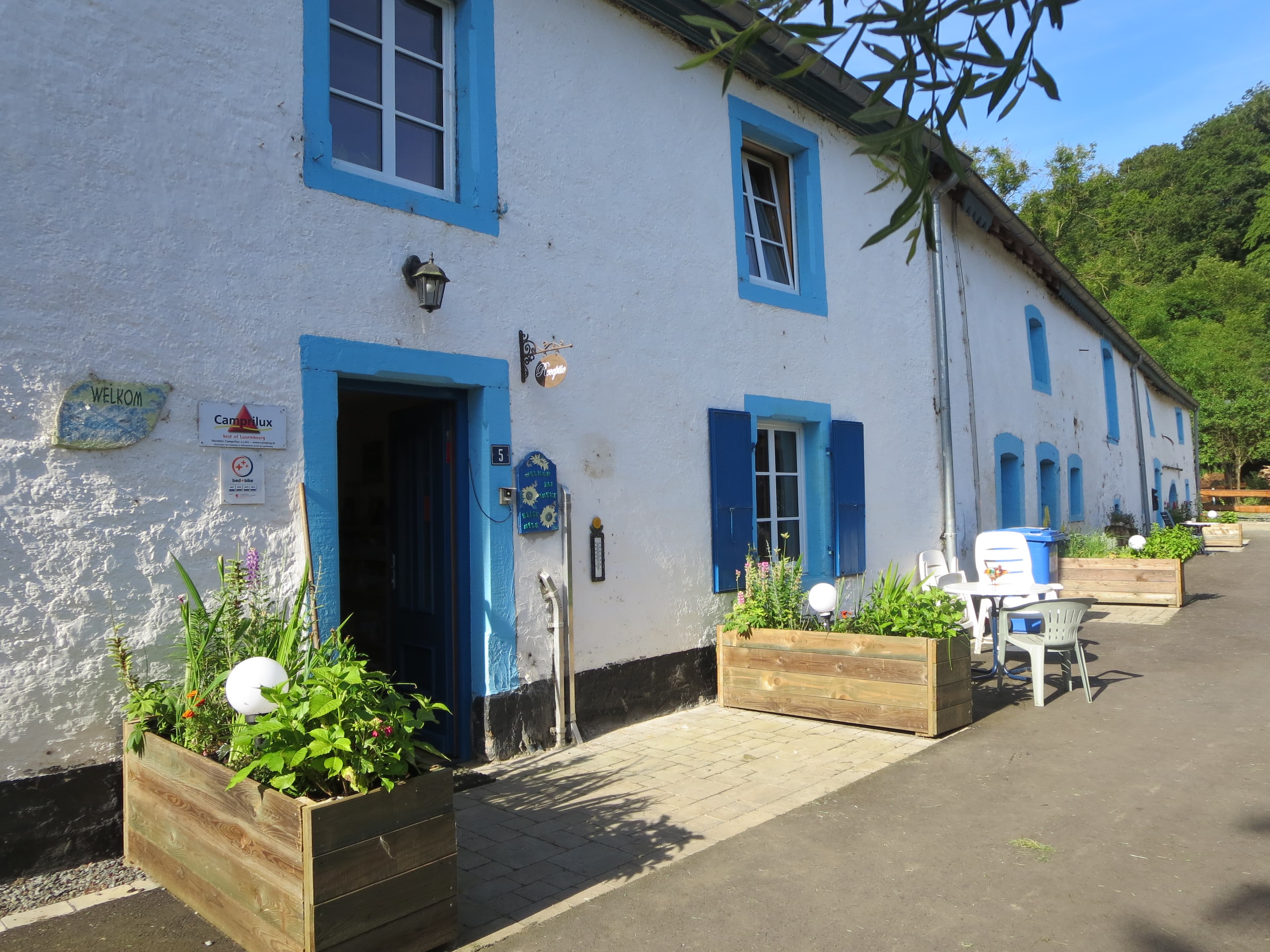 A scenery from Camping Berkel