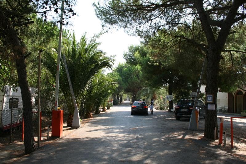 A scenery from Camping Tellina