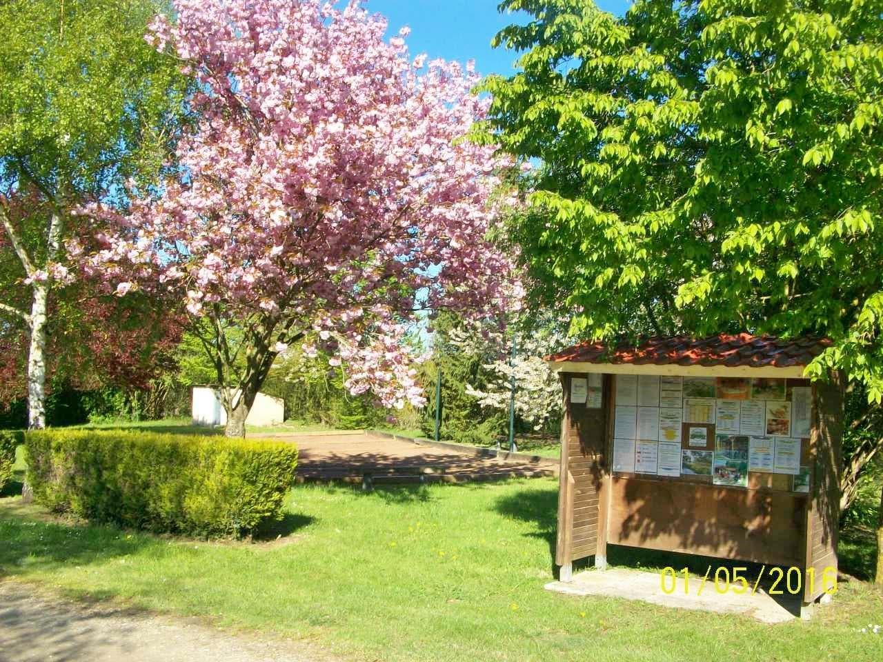 A scenery from Camping LE PONT ROUGE ET LES VIGNES