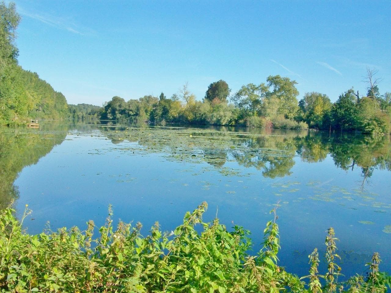 A scenery from Camping LE PONT ROUGE ET LES VIGNES