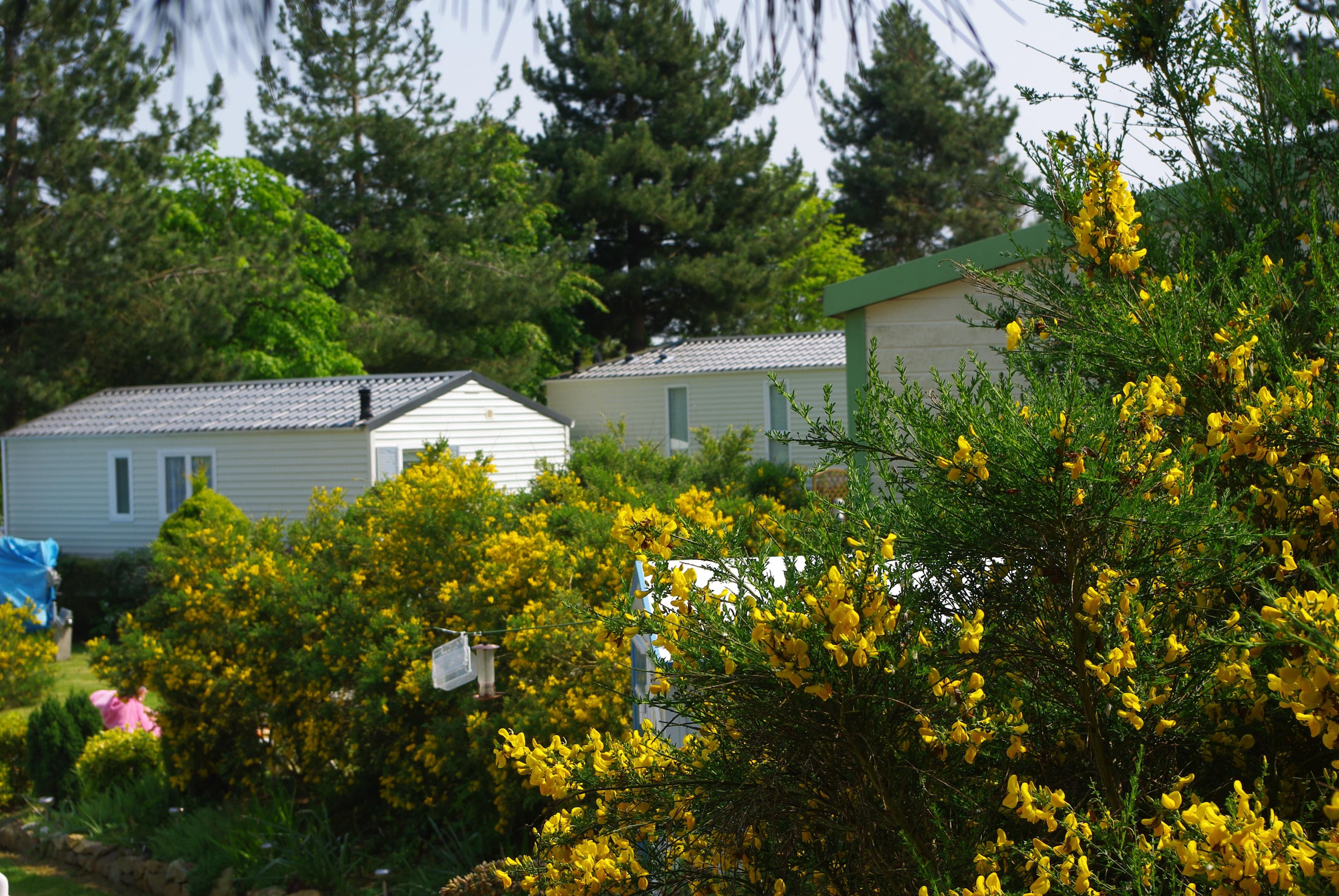 A scenery from Camping Le Domaine des Jonquilles
