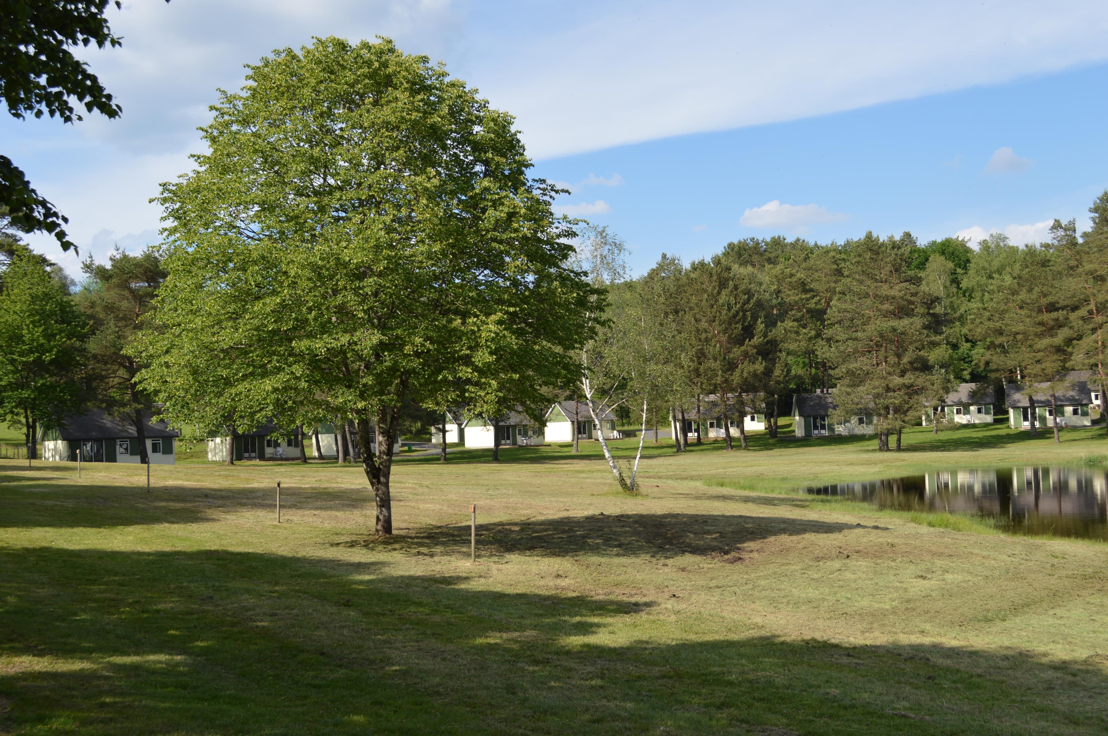A scenery from Domaine du Lac de Feyt