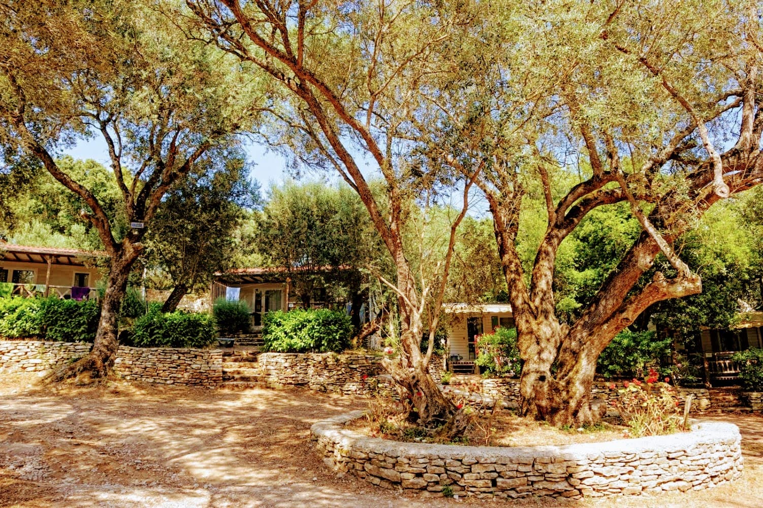 A scenery from Campo di Liccia