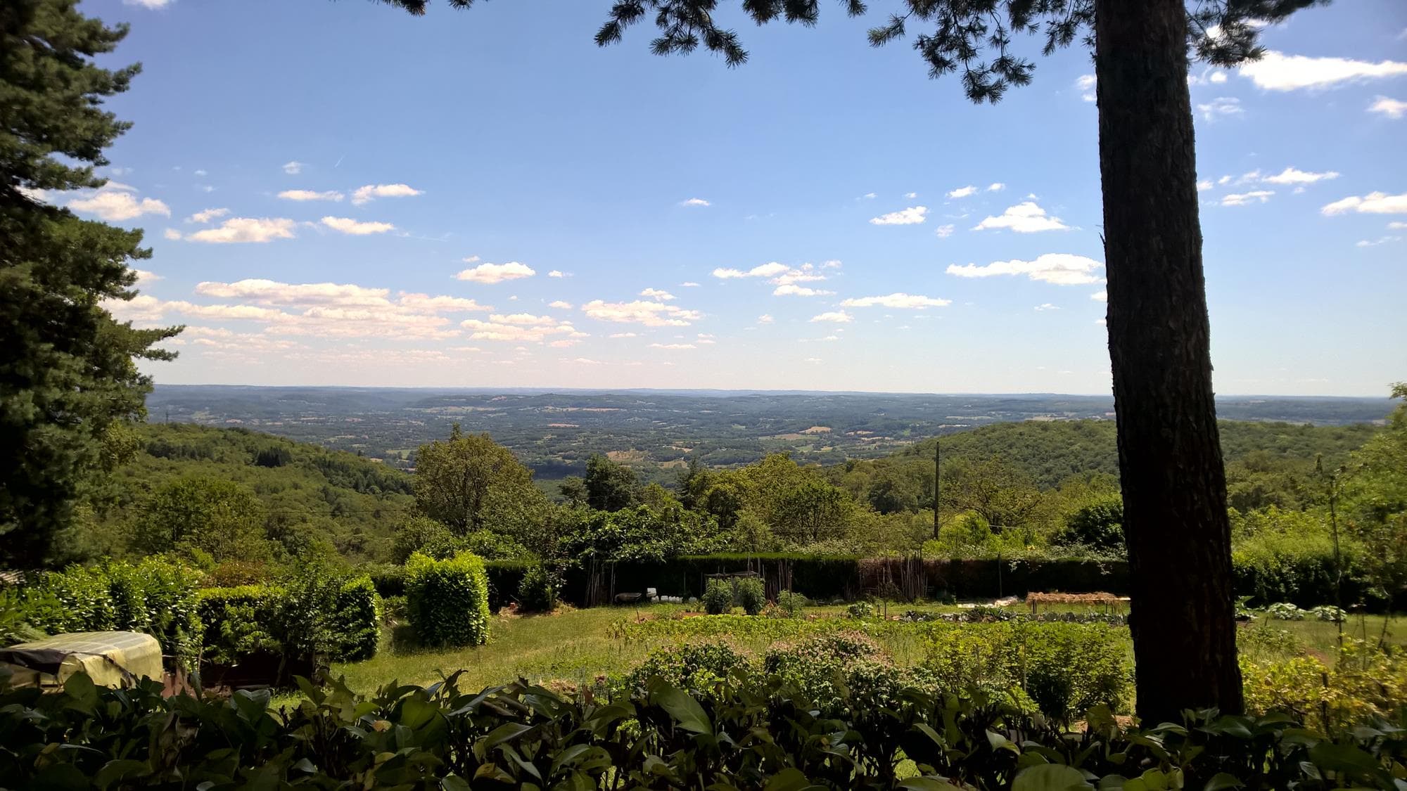 A scenery from Domaine du Coq Rouge