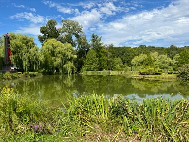 A scenery from Camping La Rivière Dorée