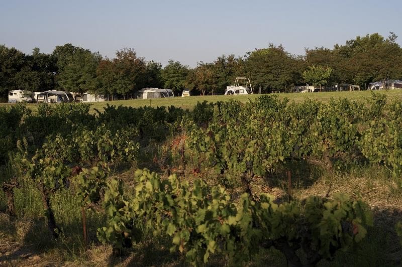A scenery from Camping Le Pastory
