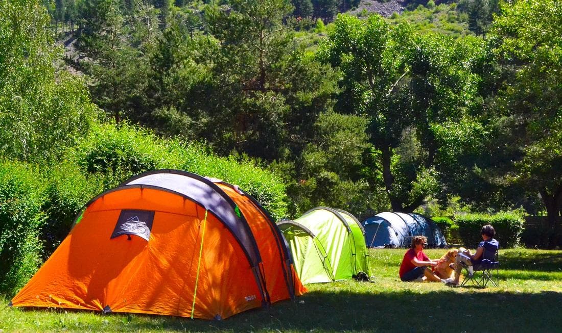 A scenery from CAMPING LES ECRINS