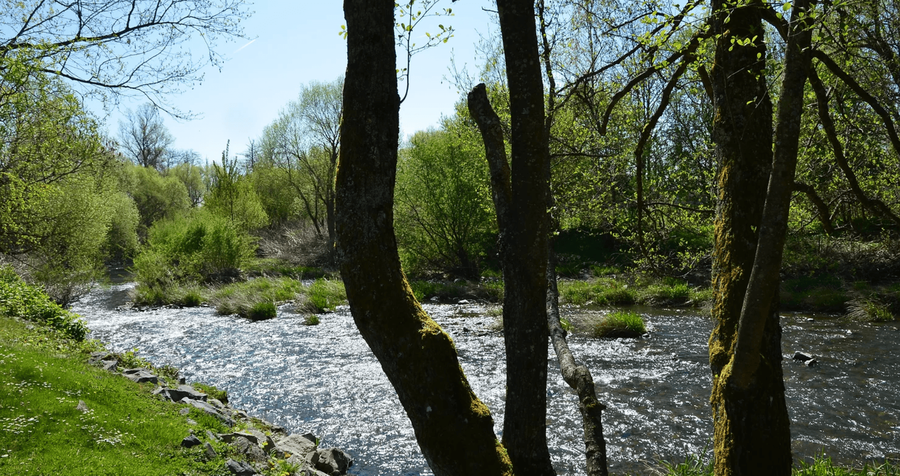 A scenery from Camping De La Doller
