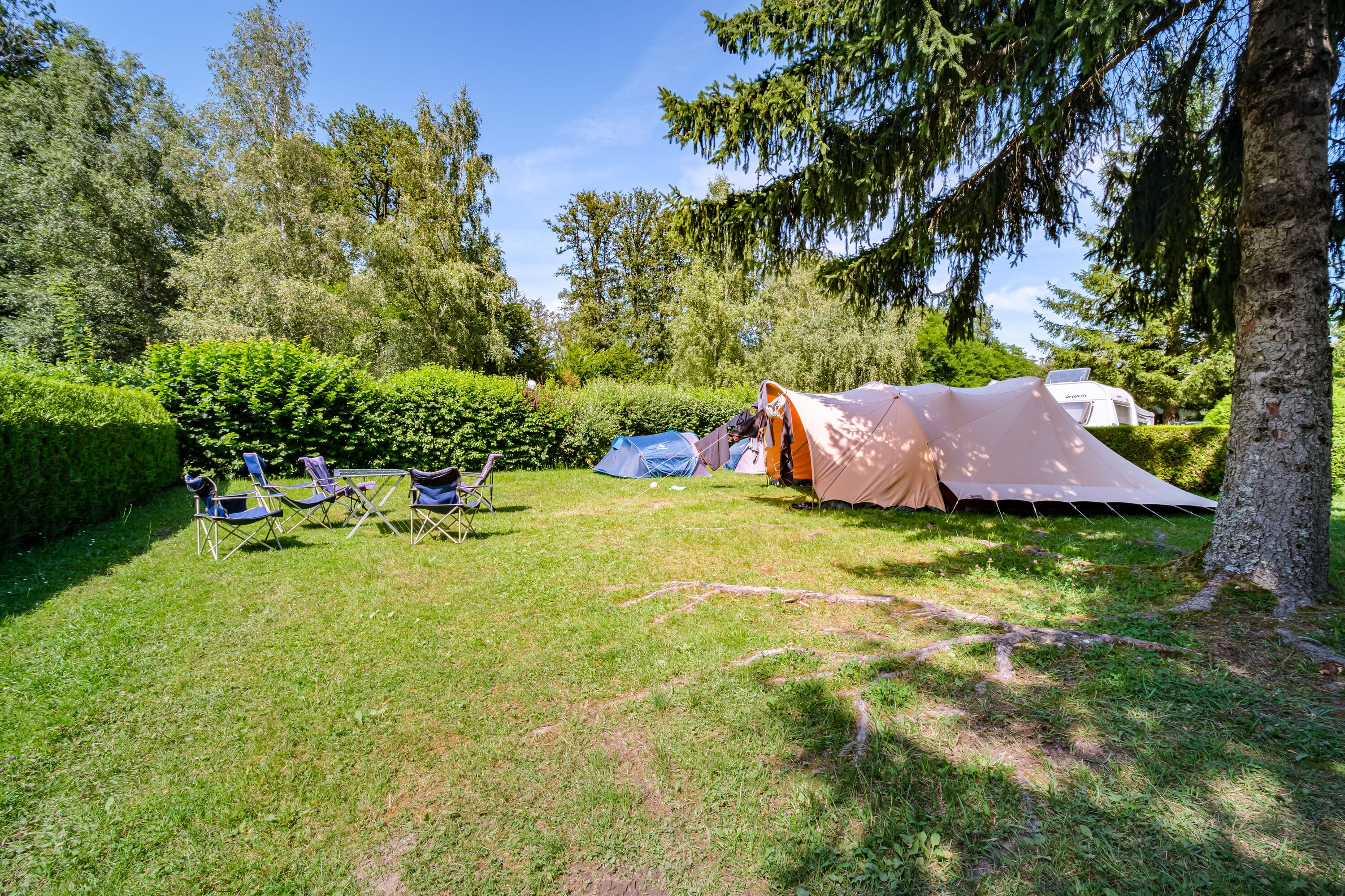 A scenery from Flower Camping du Lac de la Seigneurie