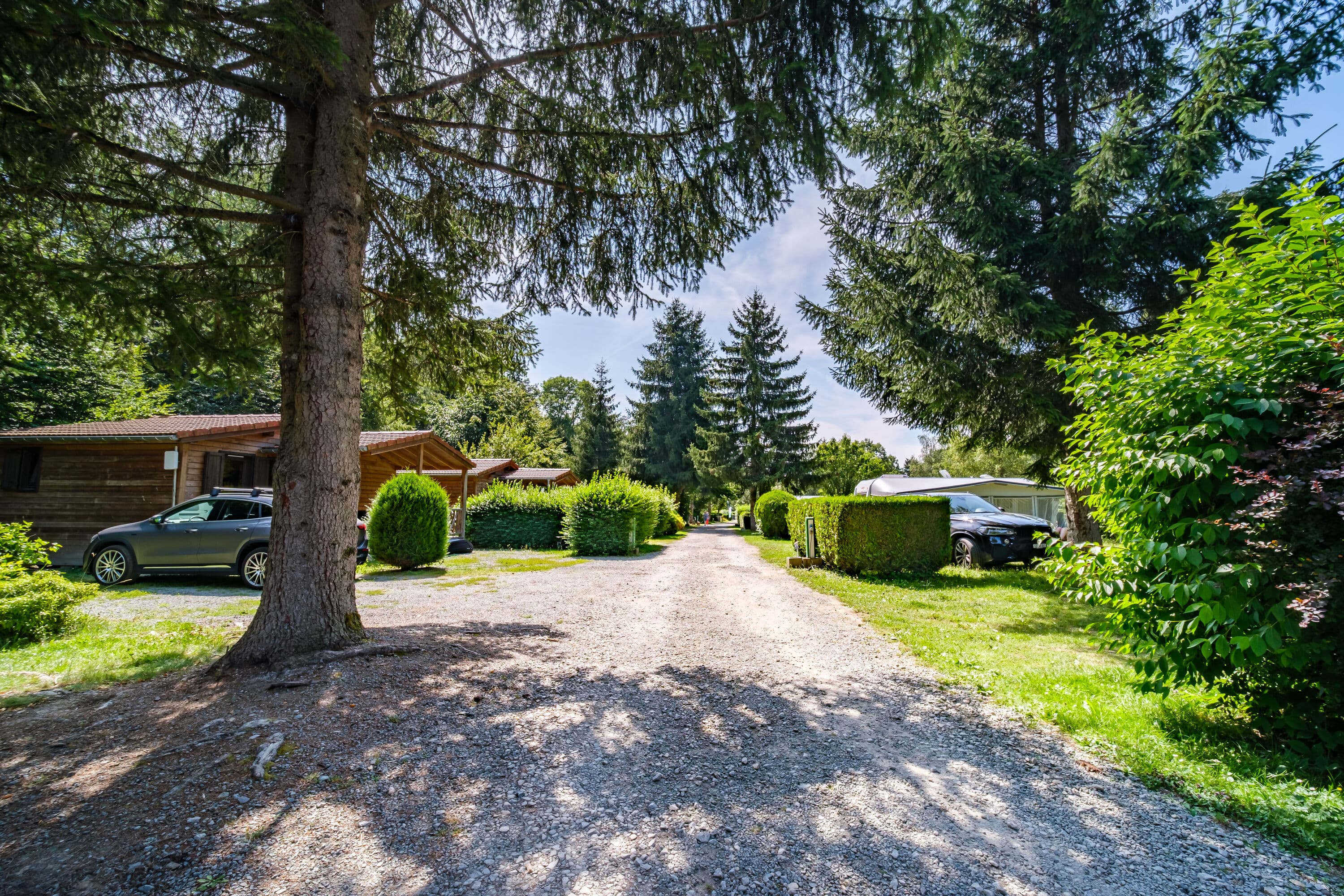 A scenery from Flower Camping du Lac de la Seigneurie