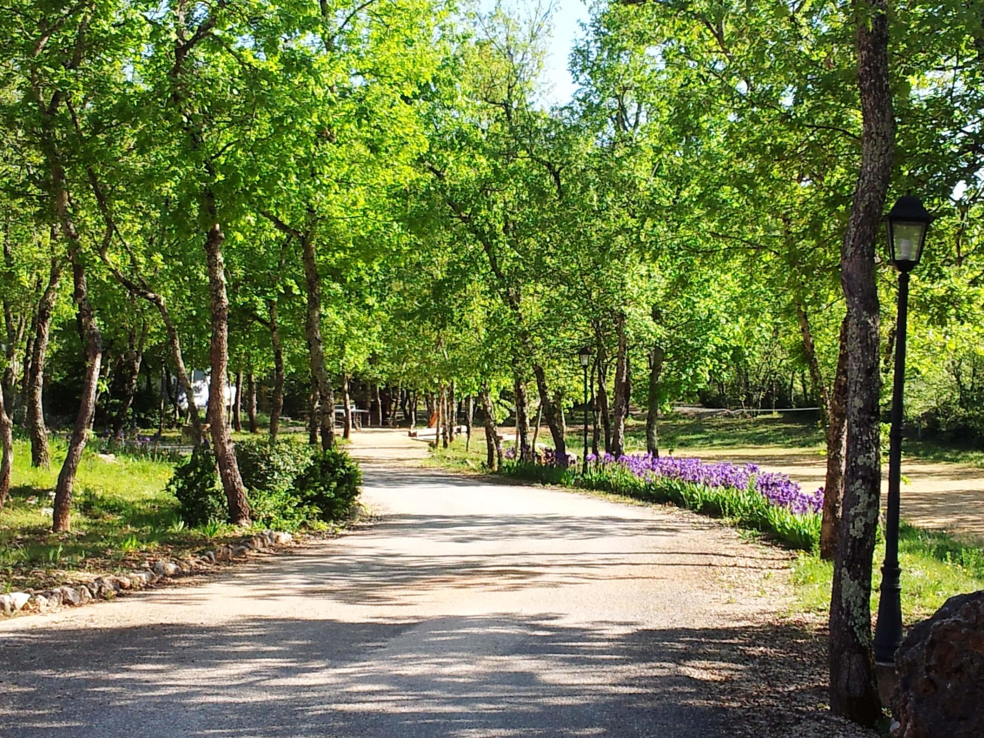 A scenery from DOMAINE LE CLOS DES CAPITELLES