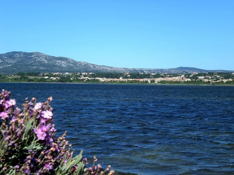 A scenery from Domaine de la Palme