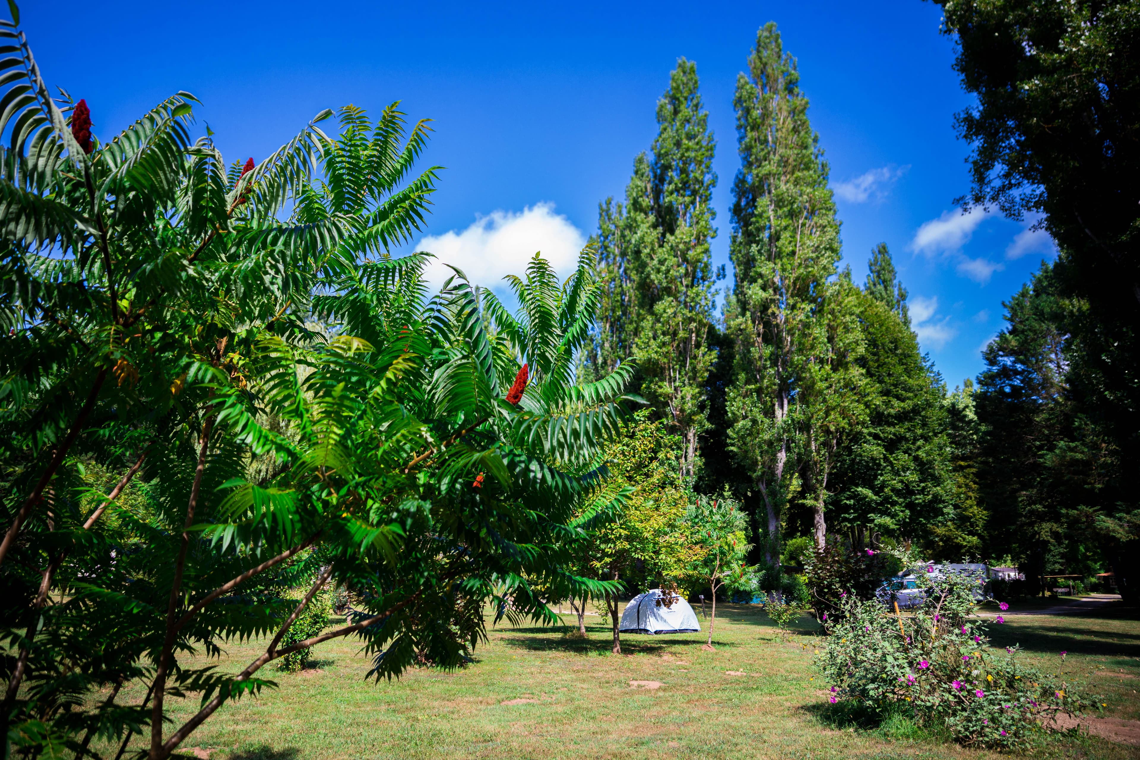 A scenery from Camping d'Auberoche