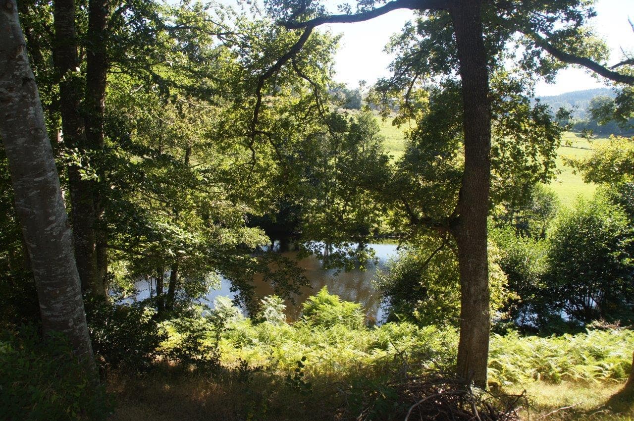 A scenery from Camping Les Murmures du Lignon