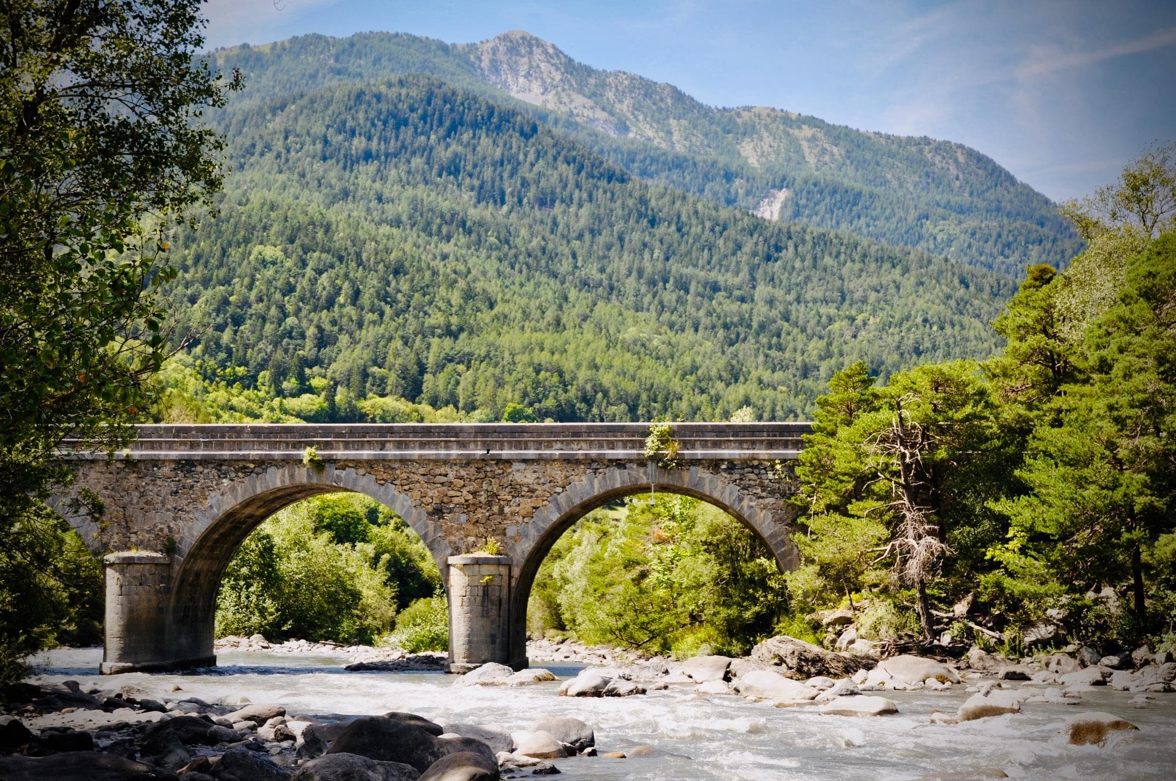 A scenery from Camping River