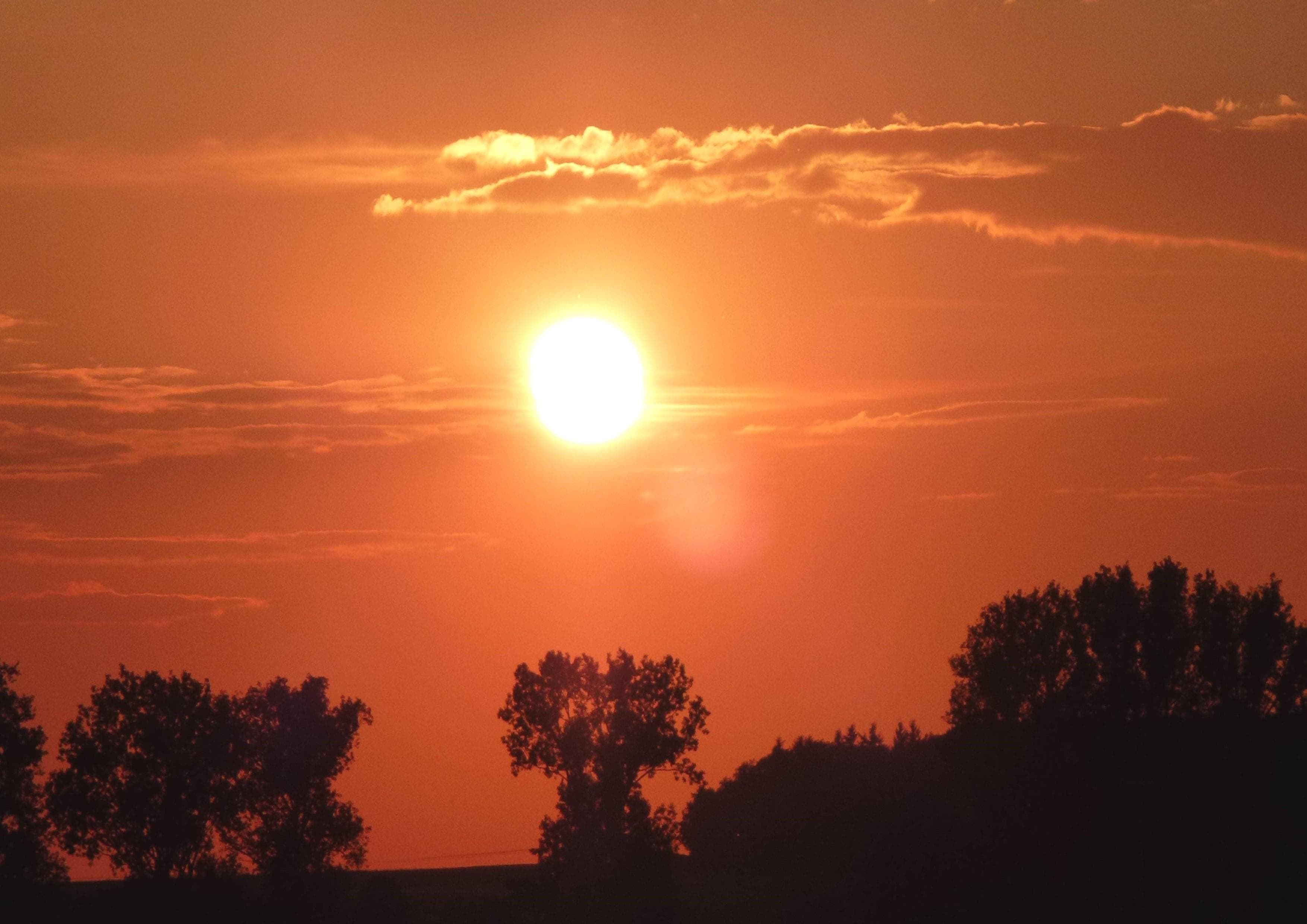 A scenery from Camping Paradies Franken
