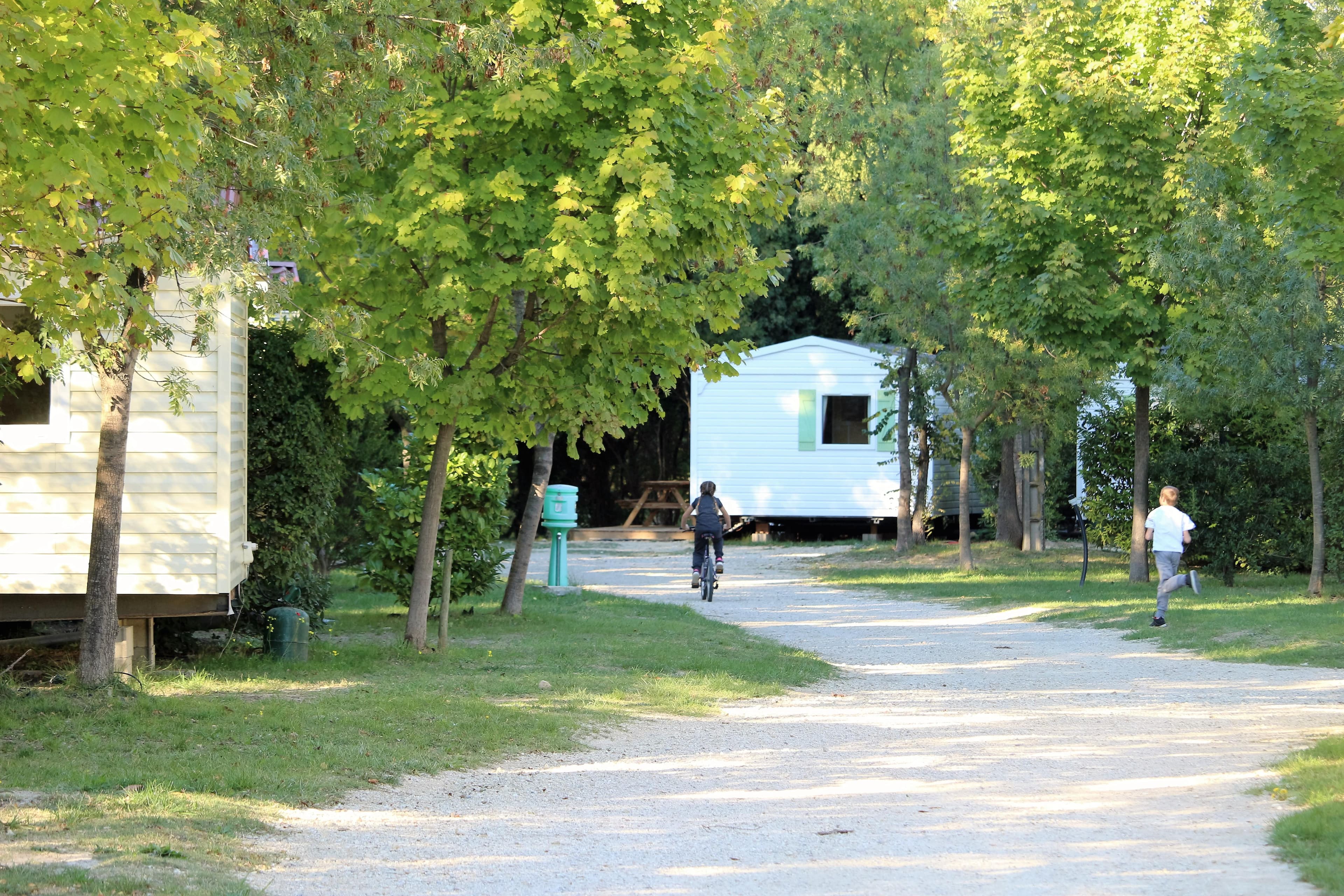 A scenery from Flower Camping le Dolium