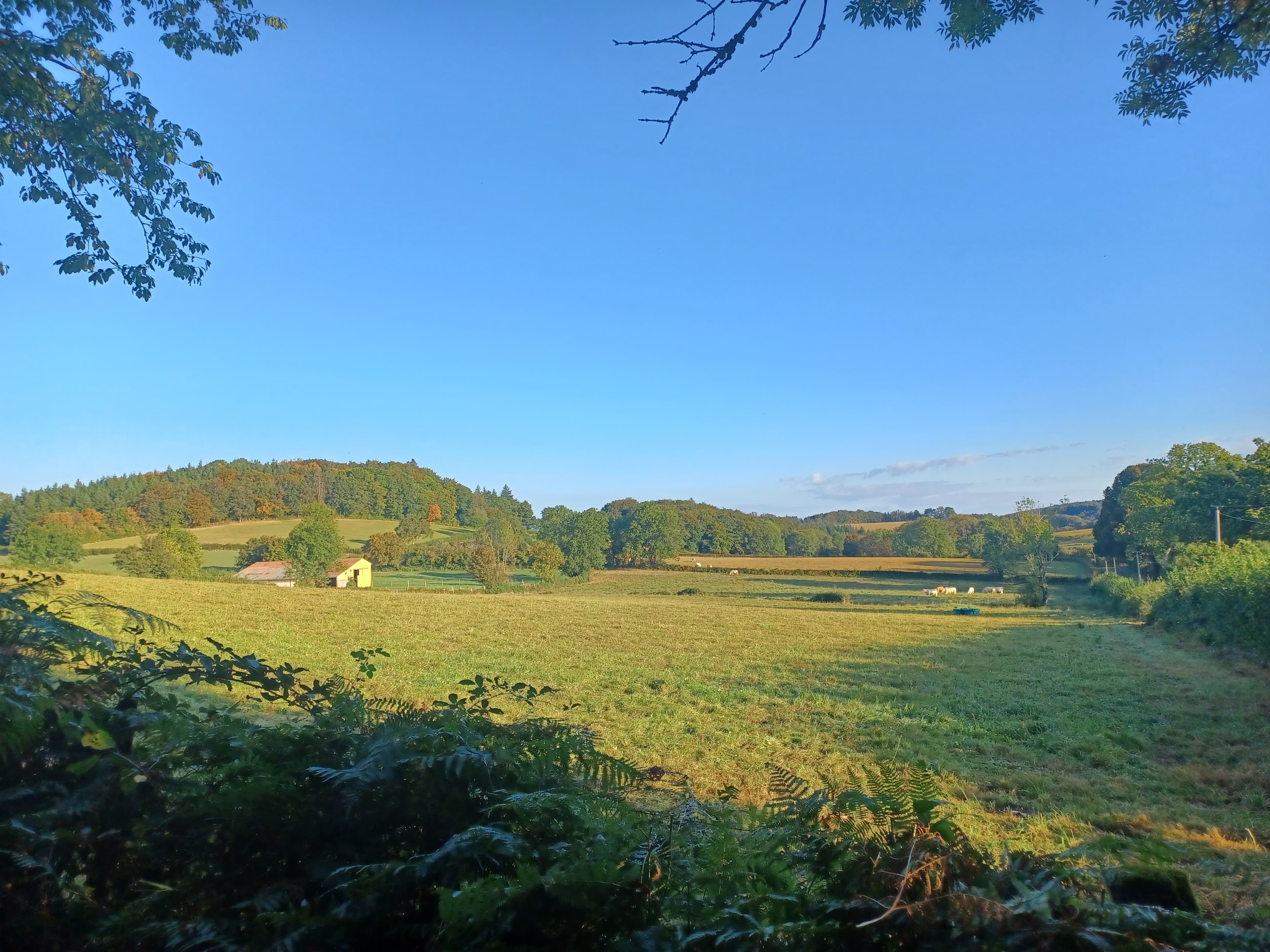 A scenery from Camping les Genêts du Morvan