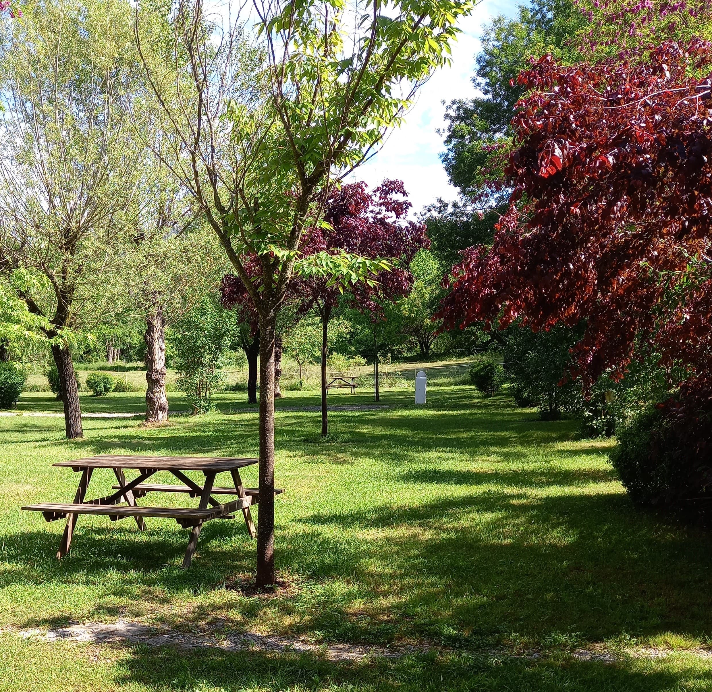 Camping du moulin de Thoard – foto 2