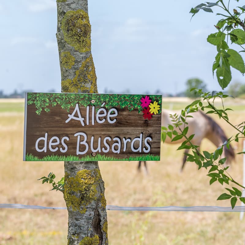 A scenery from Camping le Merval