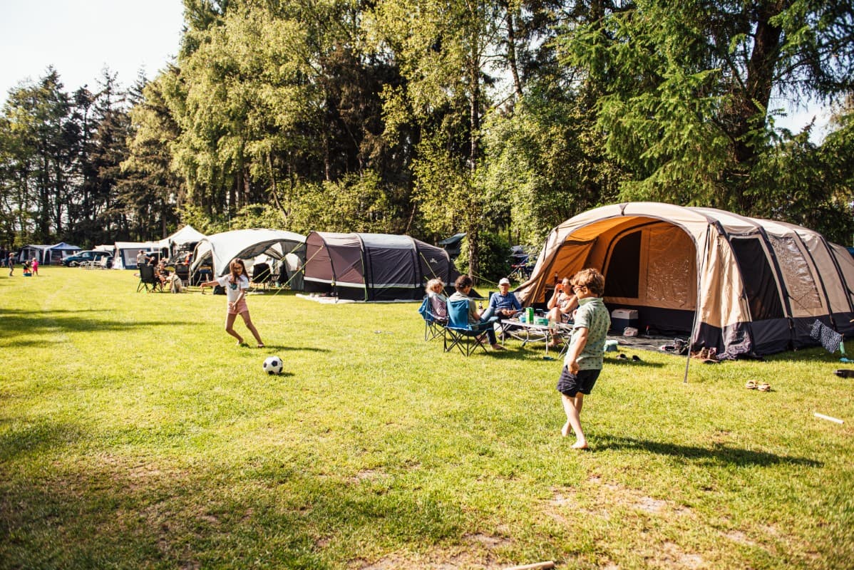 A scenery from Eurocamping Vessem