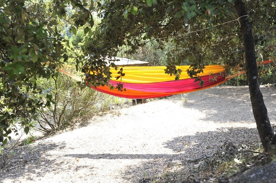 A scenery from CAMPING TORRACCIA