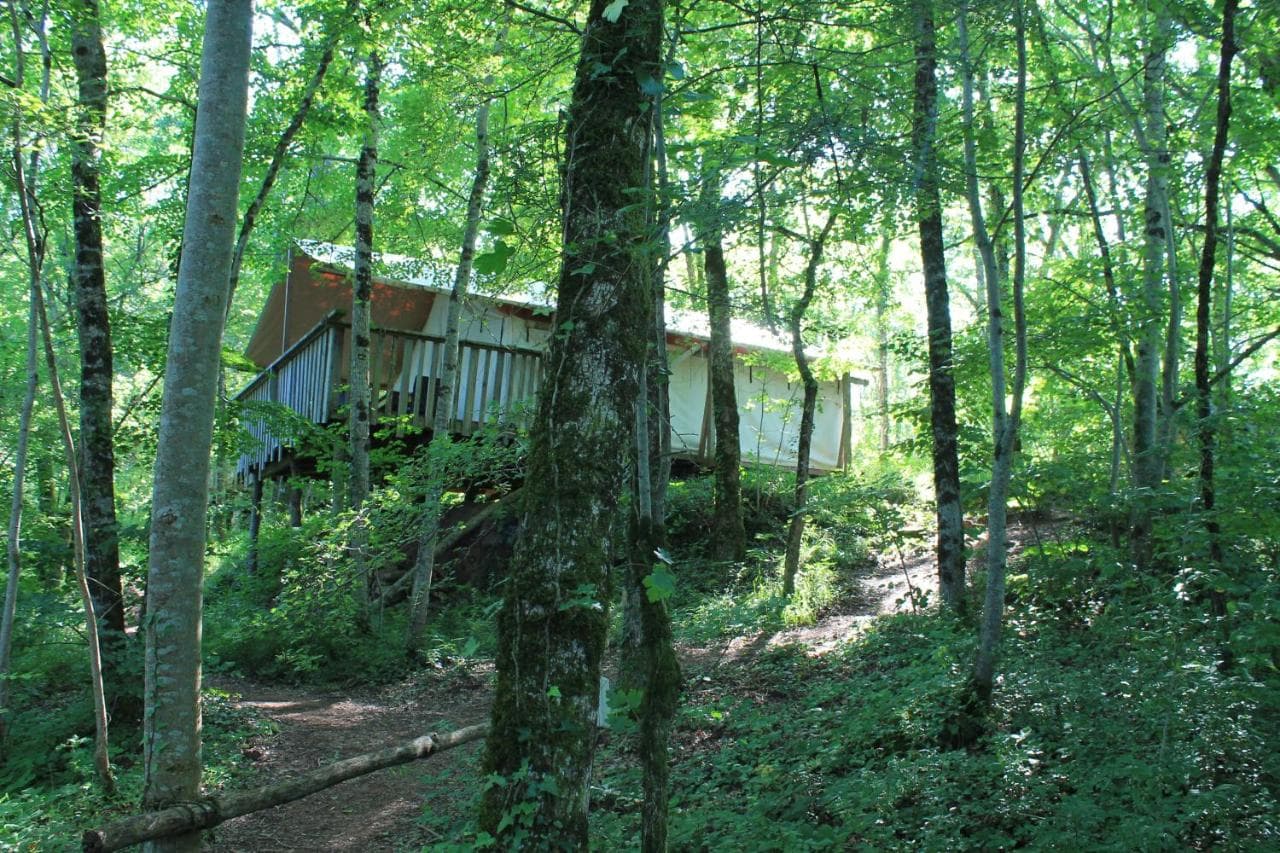 A scenery from Camping glamping Terre Rouge