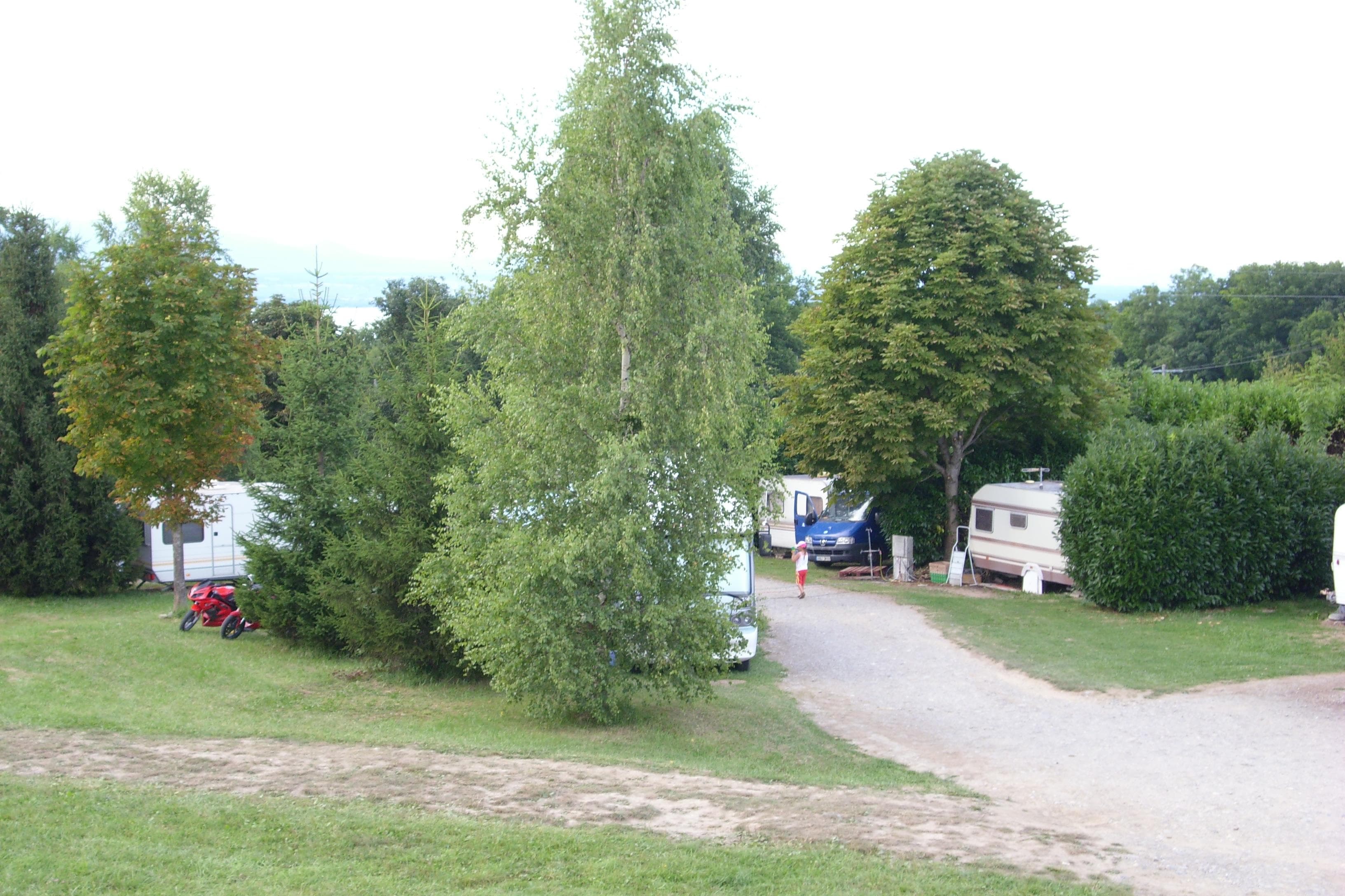 A scenery from Camping l'Orée des Bois