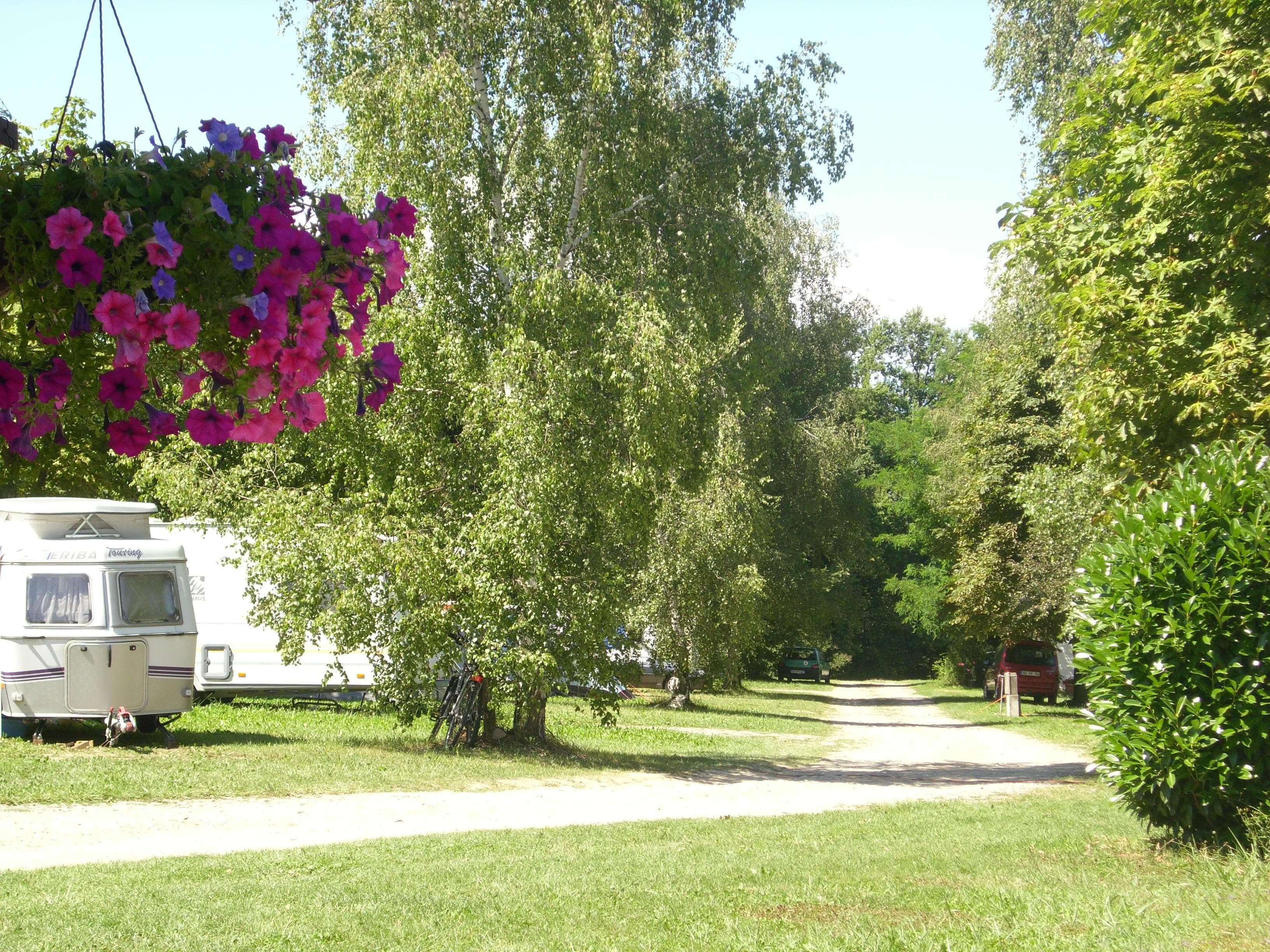 A scenery from Camping l'Orée des Bois