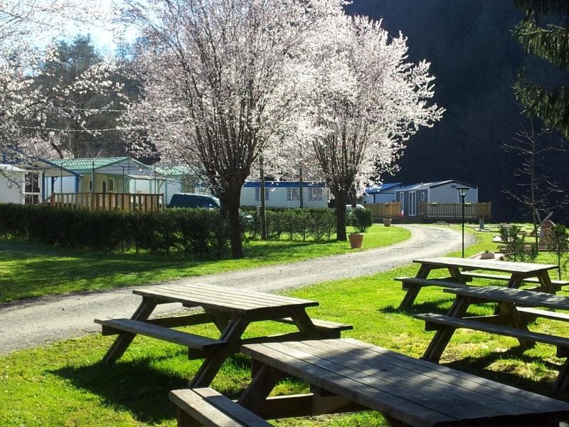A scenery from Camping Le Moulin Brûlé